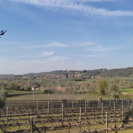 La Casa Dei Flori * Picedo
