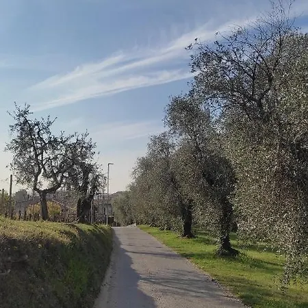 公寓 La Casa Dei Flori Picedo